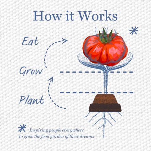 Artisanal Tomatoes