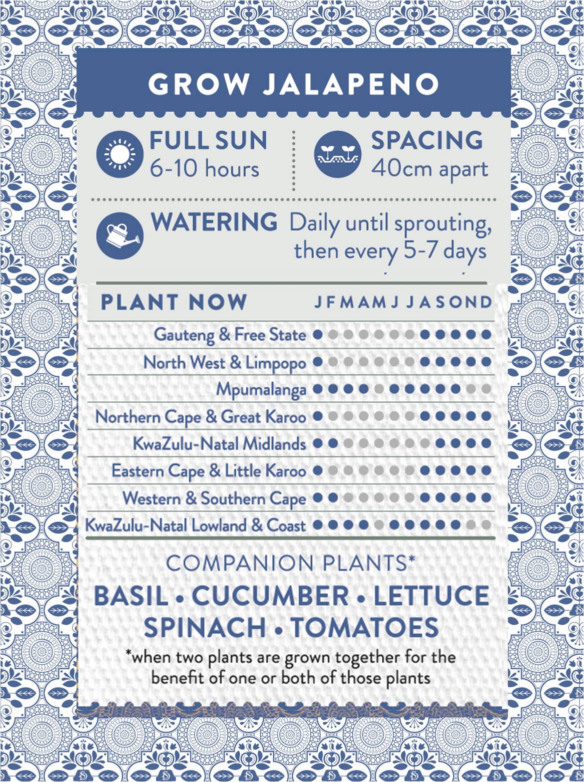 Pure Jalapeno Sow Delicious